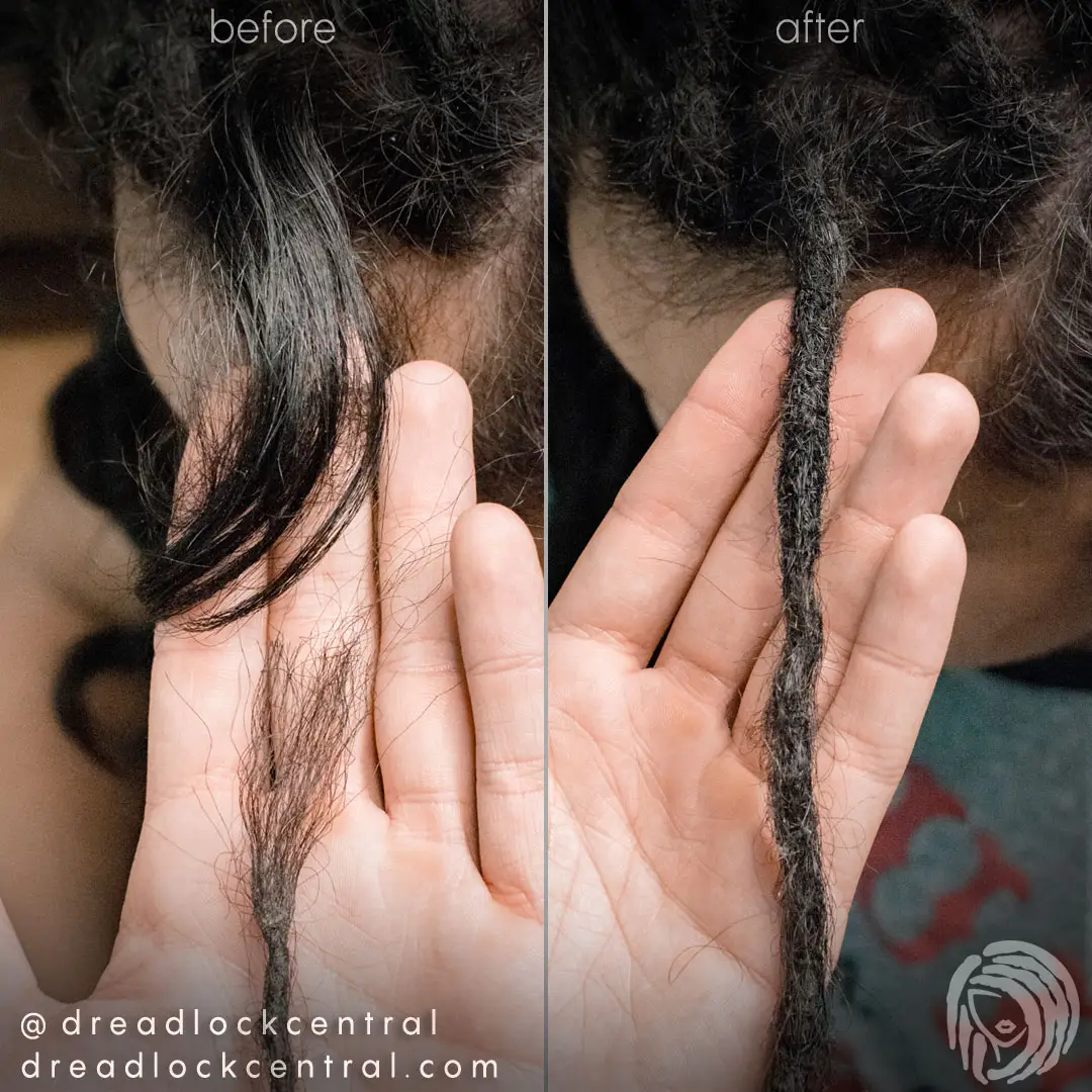 Reattaching Dreadlocks - Dread Repair on Hispanic Hair