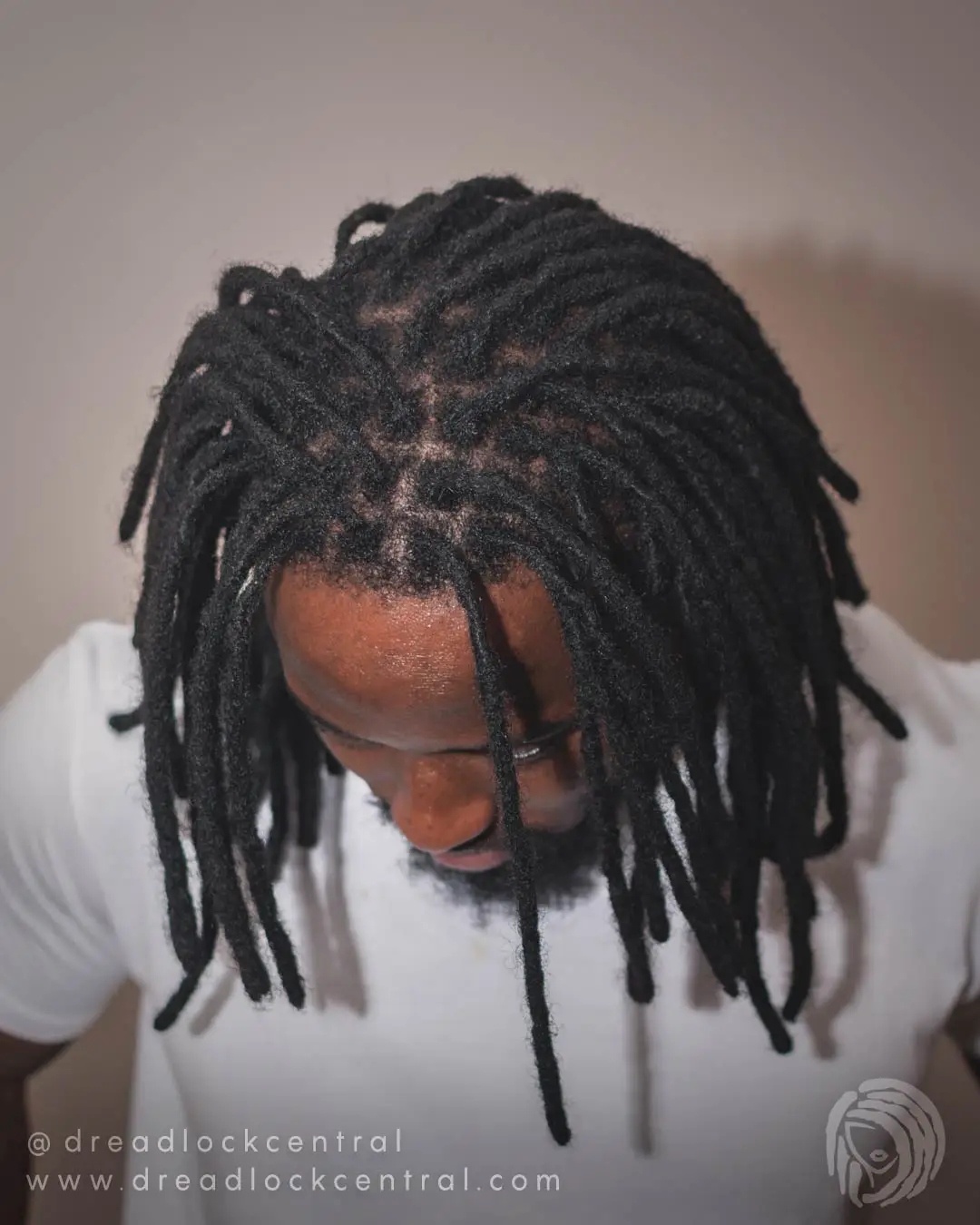 Instant Locs in Queens NY